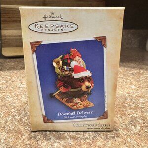 Hallmark Keepsake Ornament Downhill Delivery Bear Ski Christmas Collectables